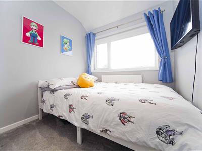 Picture 20
